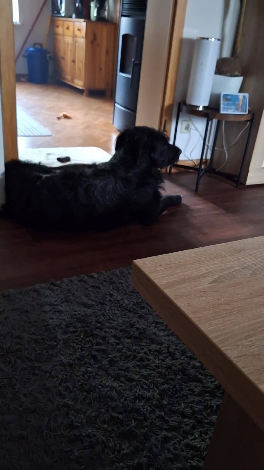 @Strobelmix Frauchen
