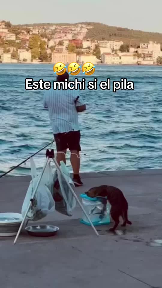 @Entretenido 💫💎💎