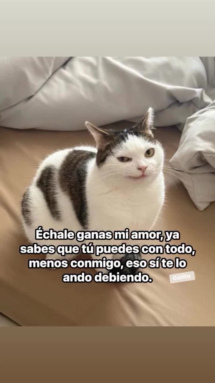 @Mili