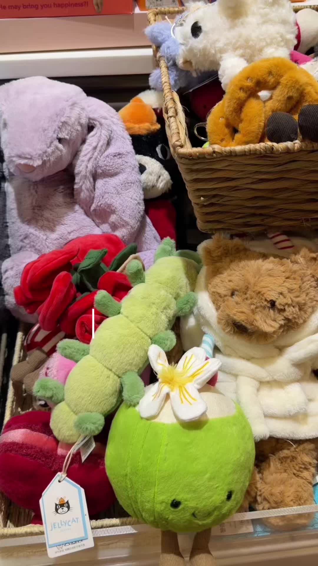 @โ๏ฝกเญจ๐ ๐ ๐ ๐ ๐ ๐เญงห๏ฝกโ