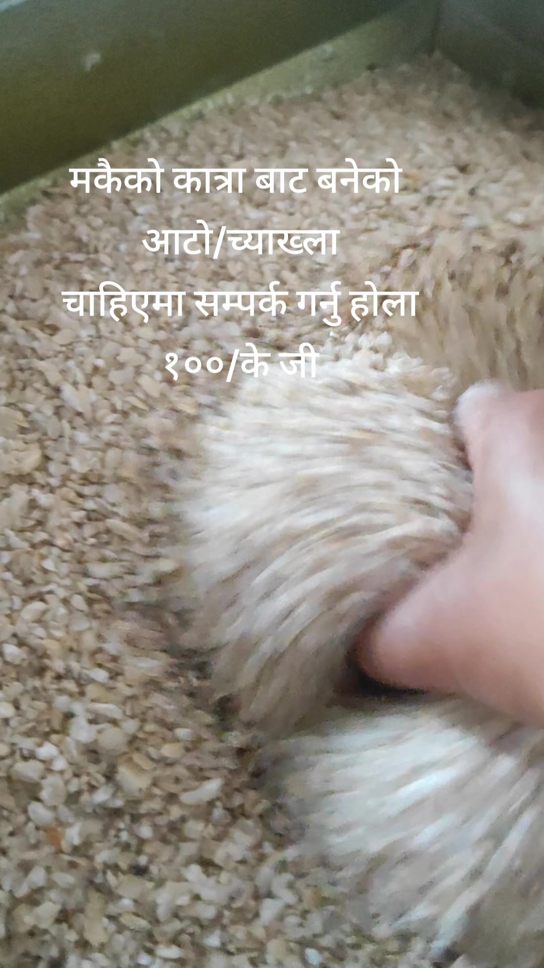 @Sangita (Hamropasal)