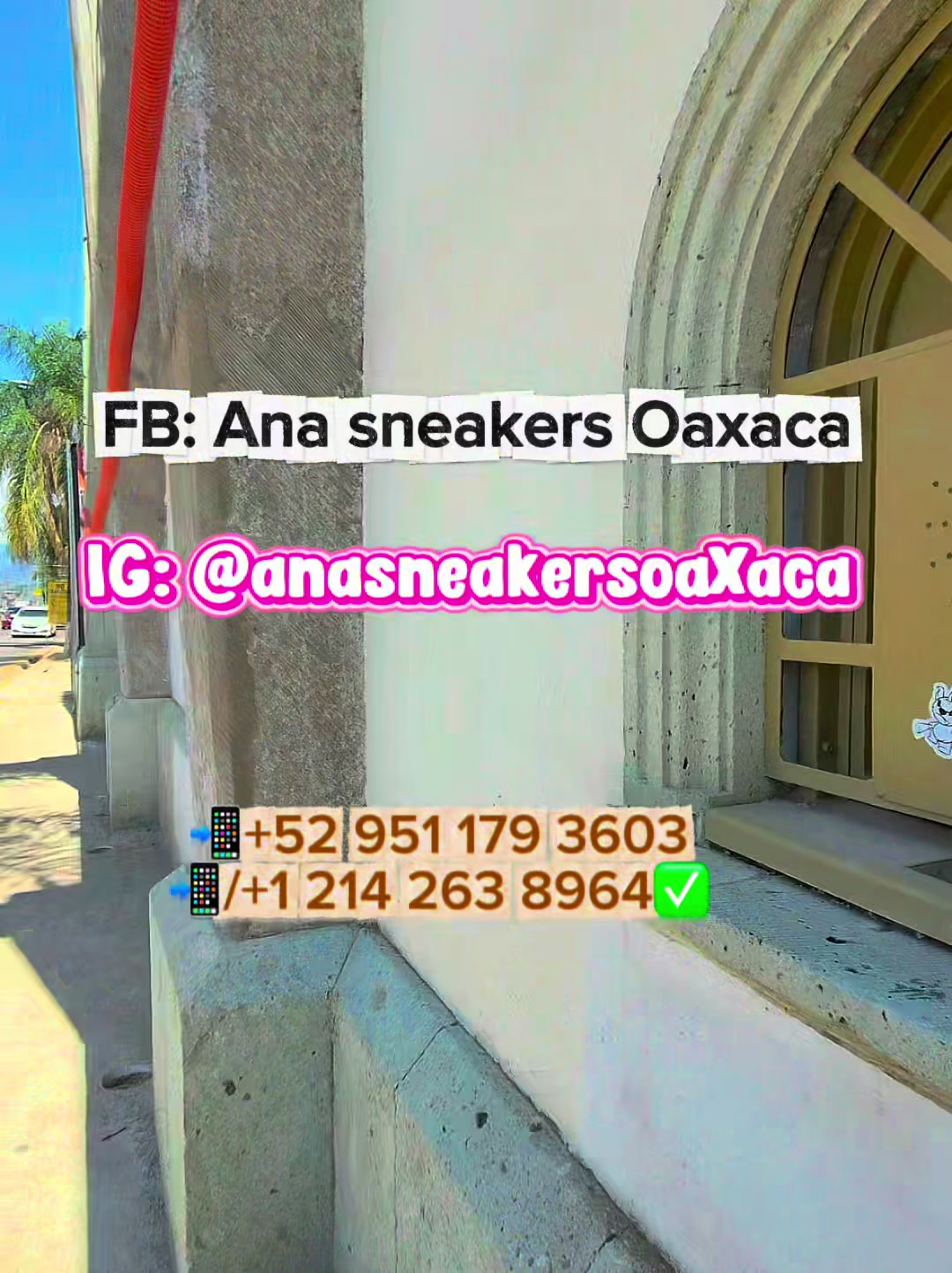 @Anna Paola Mateos