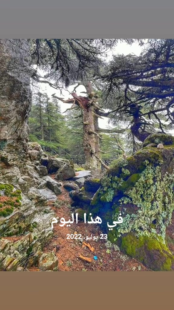 @🇲🇦abdou🇲🇦