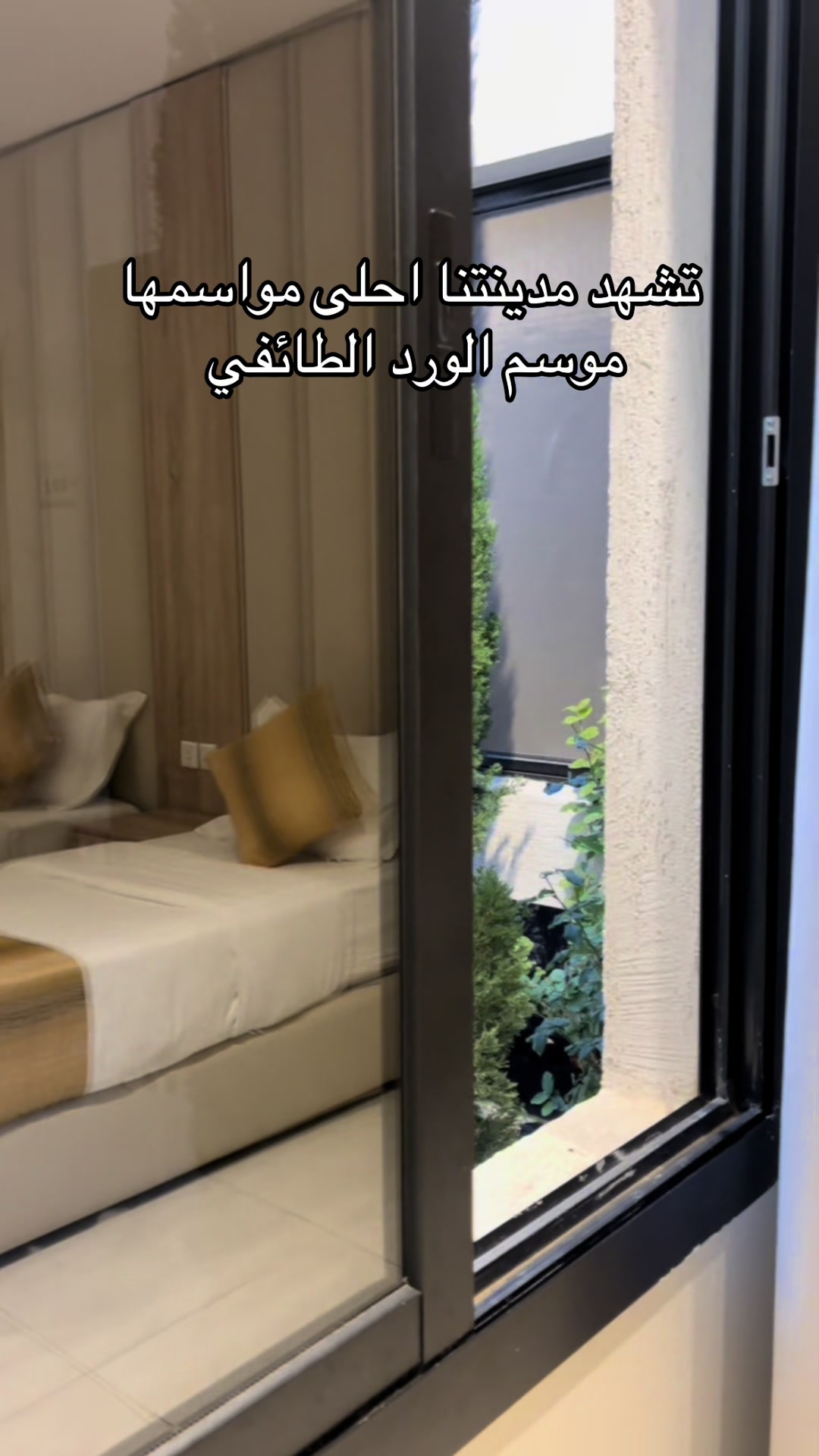 @Areej_alshafaa
