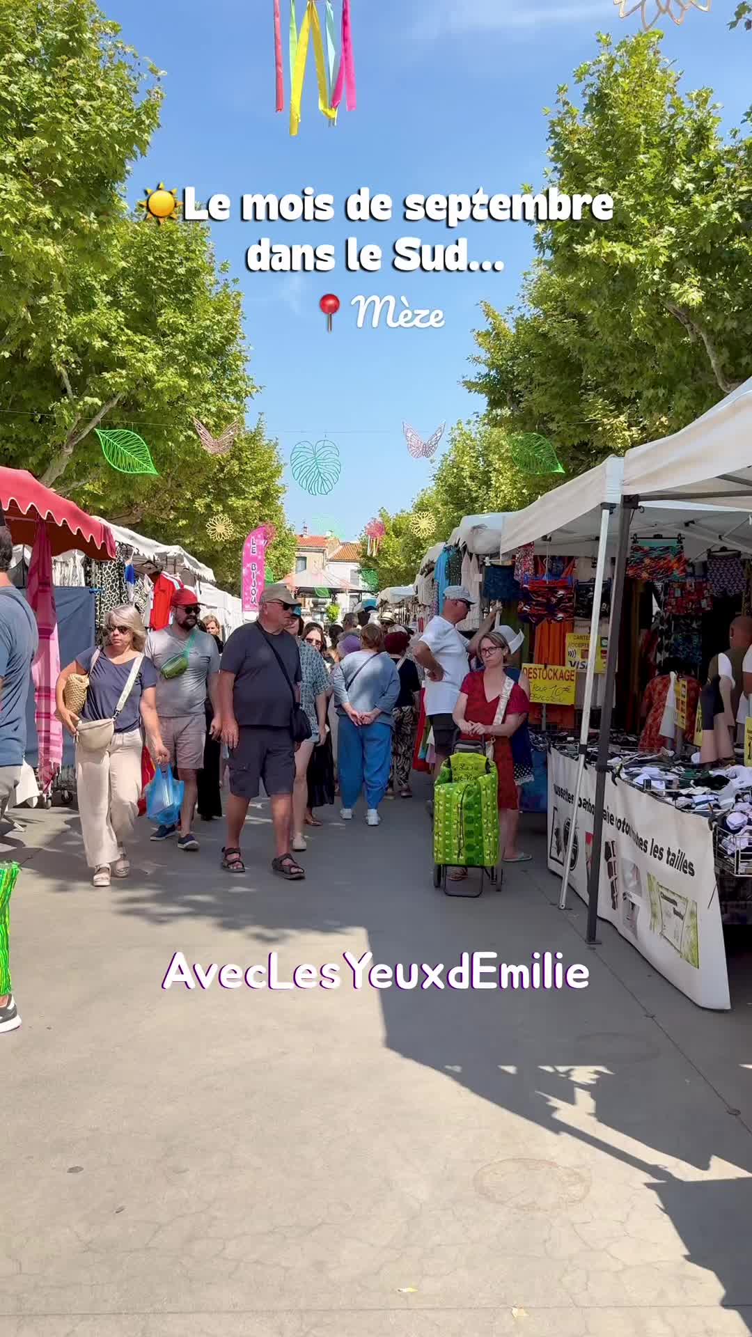 @AveclesyeuxdEmilie