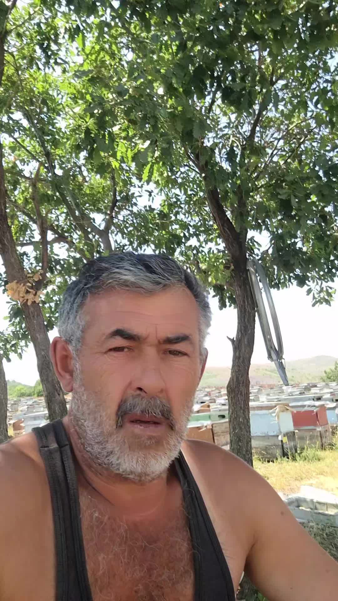 @Vural Demir