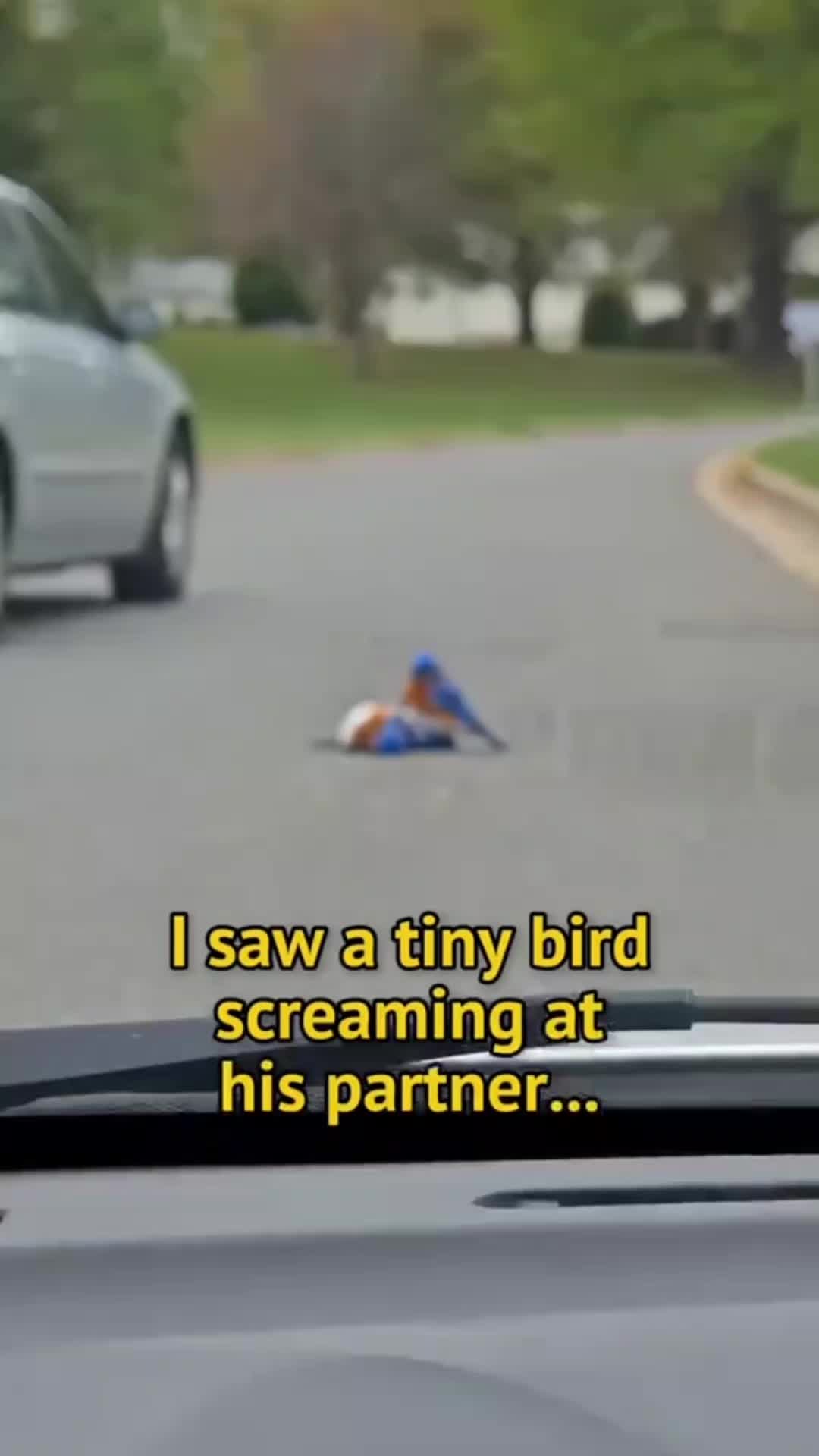 @Nico