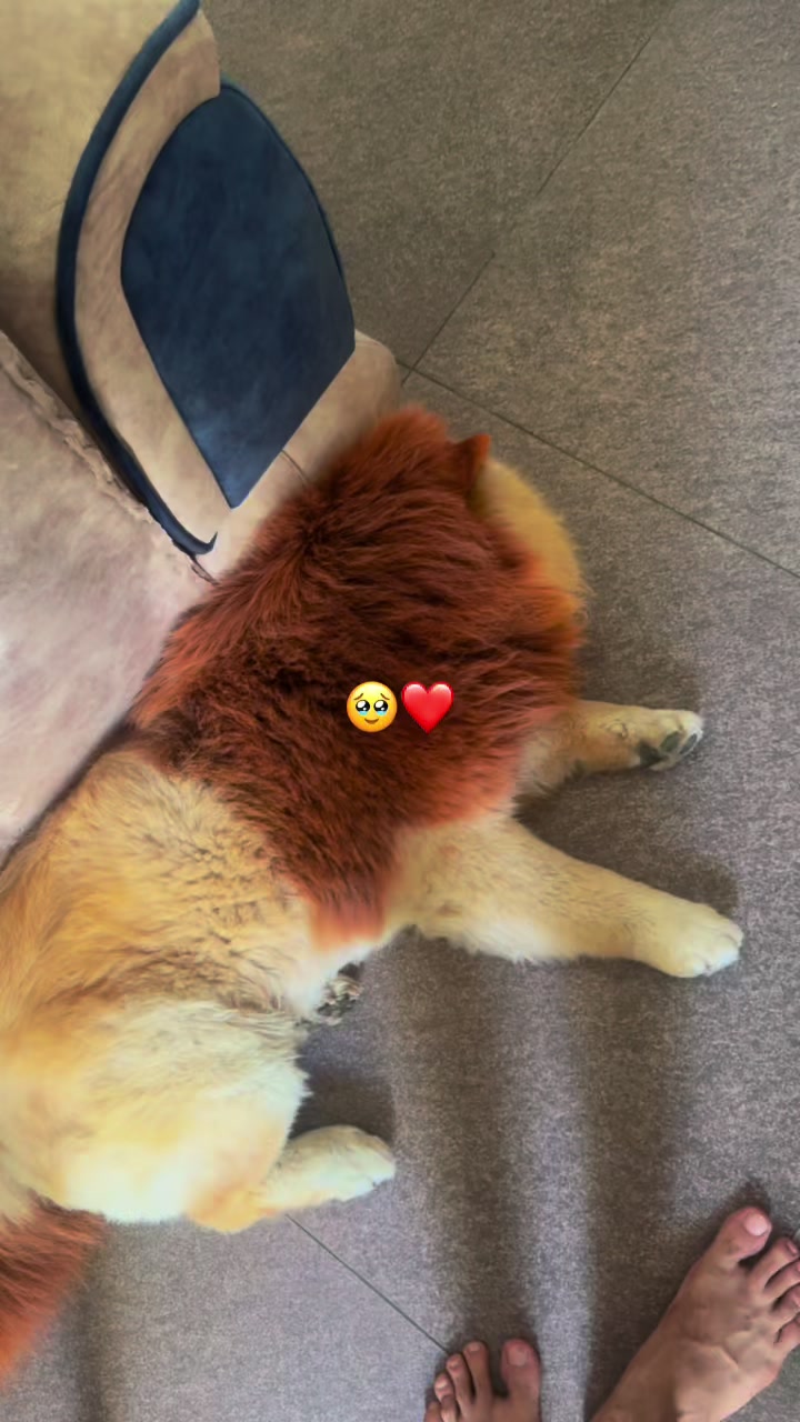 @tobi_bakılı