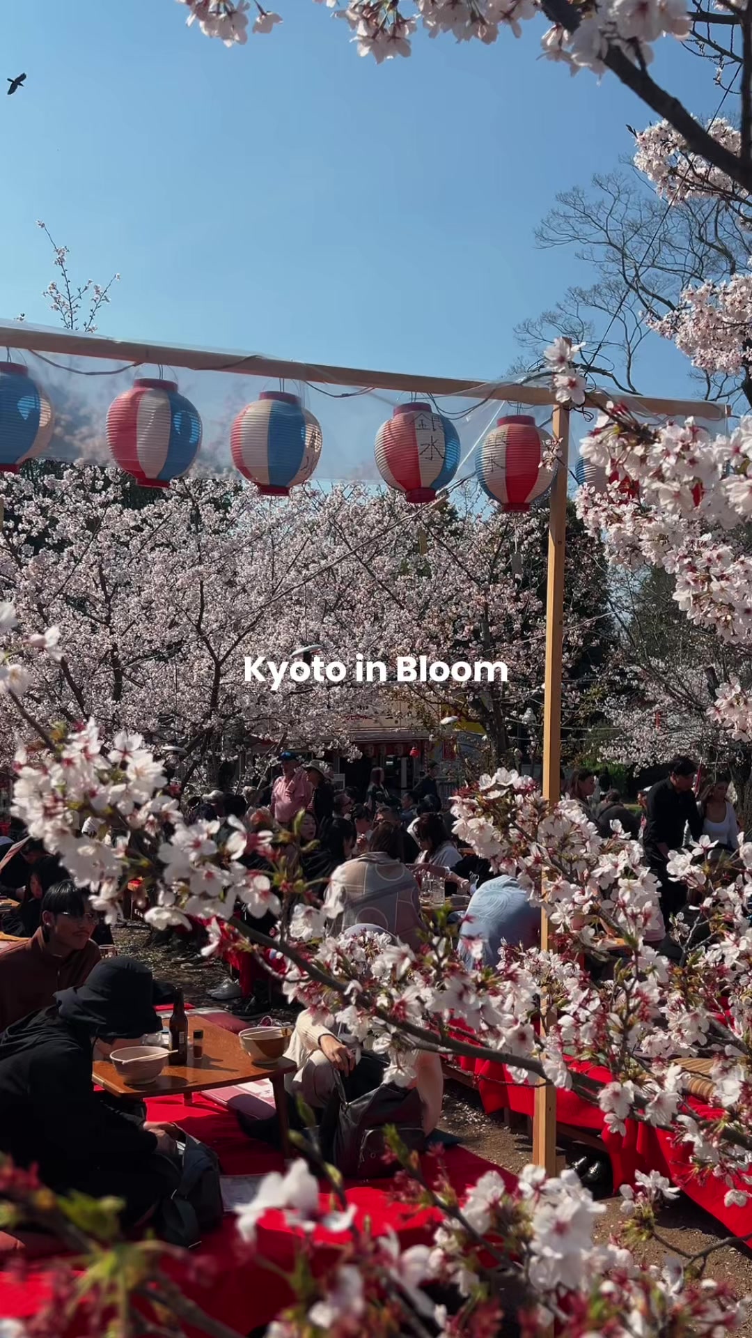 @Tokyo Weekender