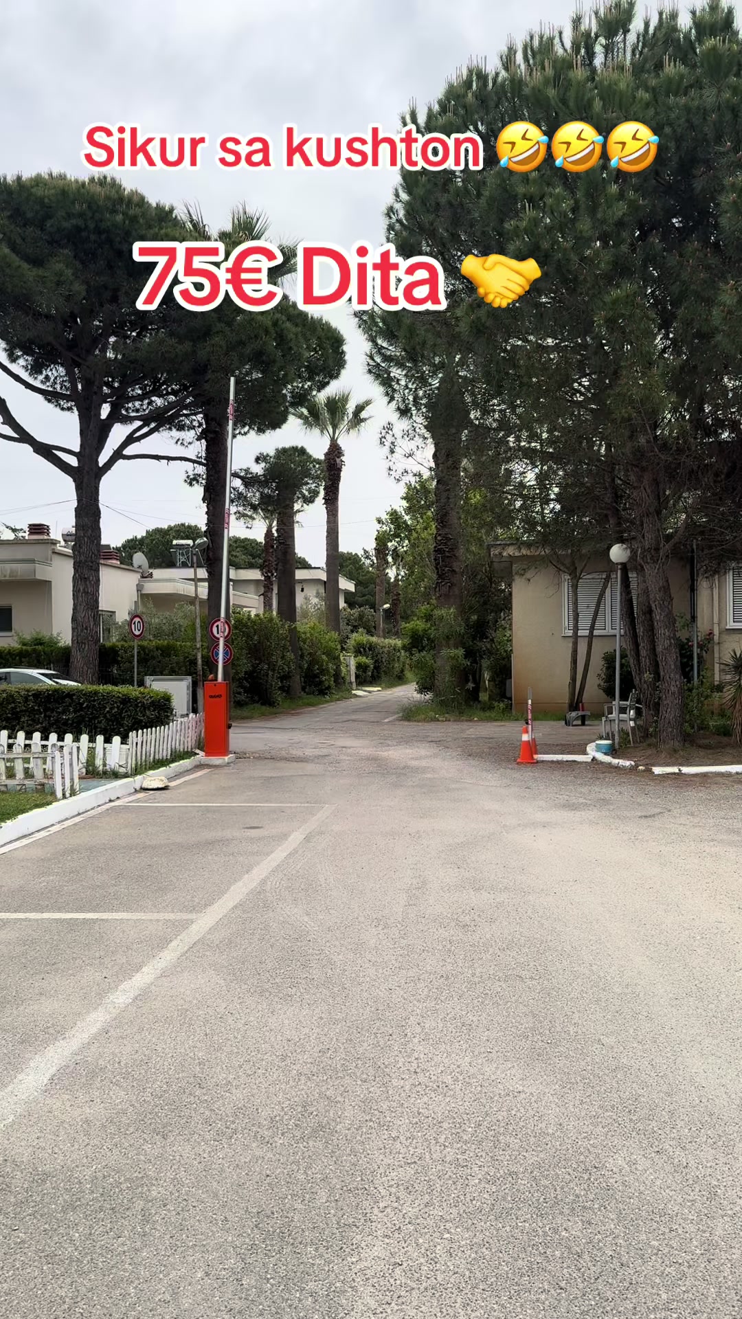 @rentcar_klevi