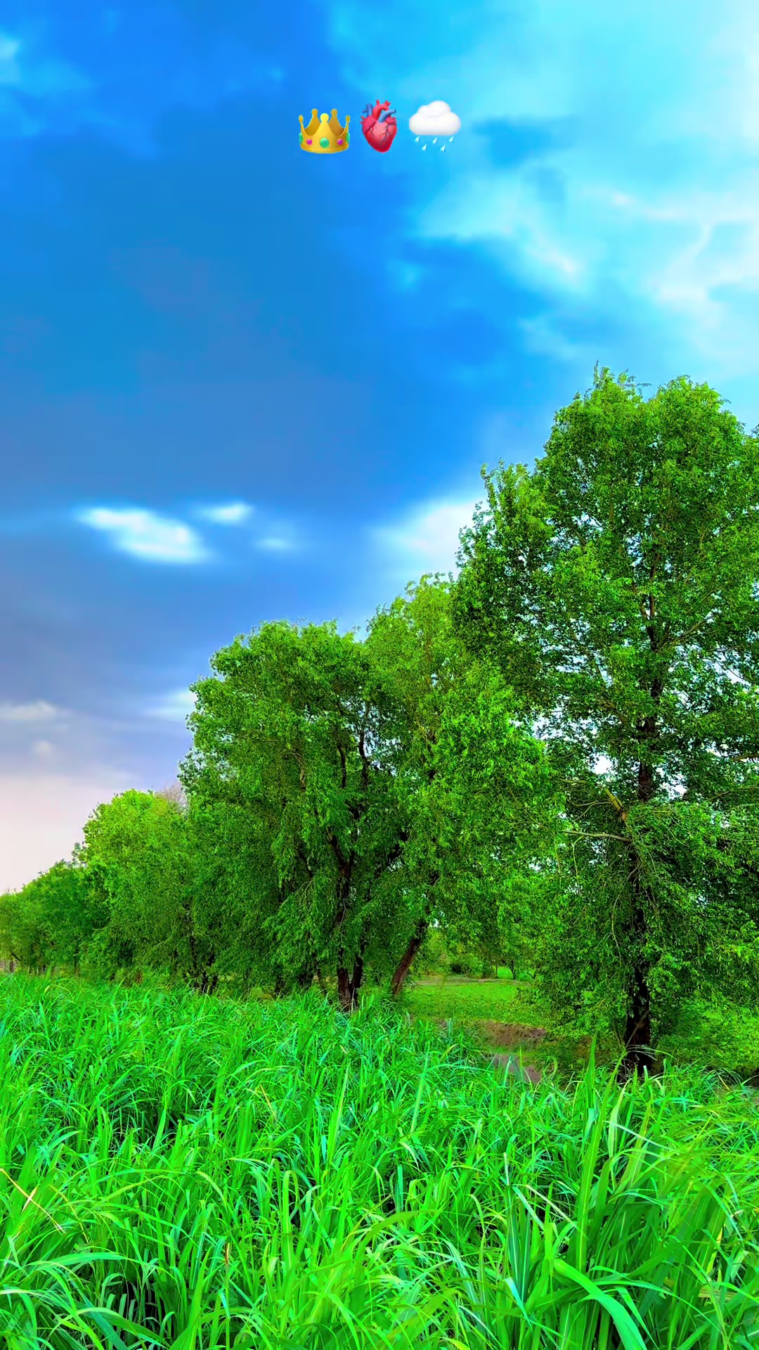 @پنجابی کلچر 🌾🍂