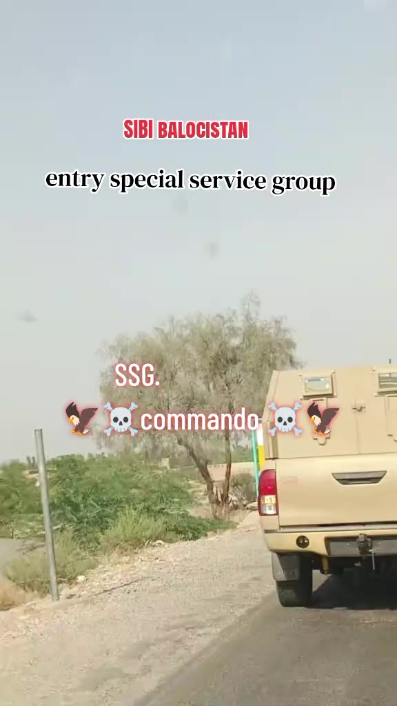 @☠️ SSG ☠️