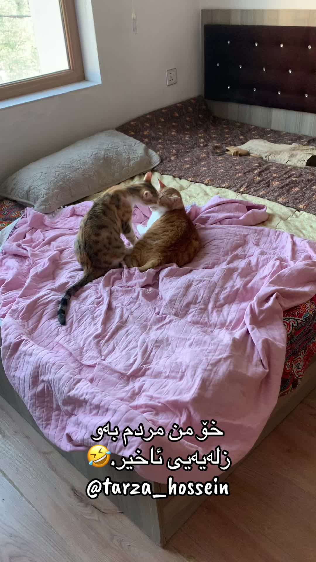 @تەرزە حسێن