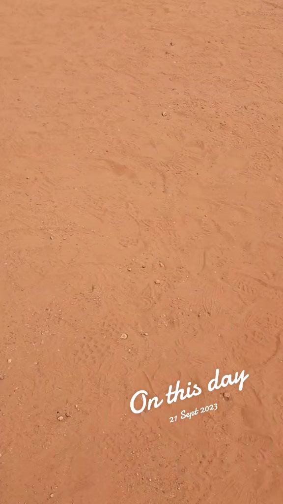 @ROWDY7