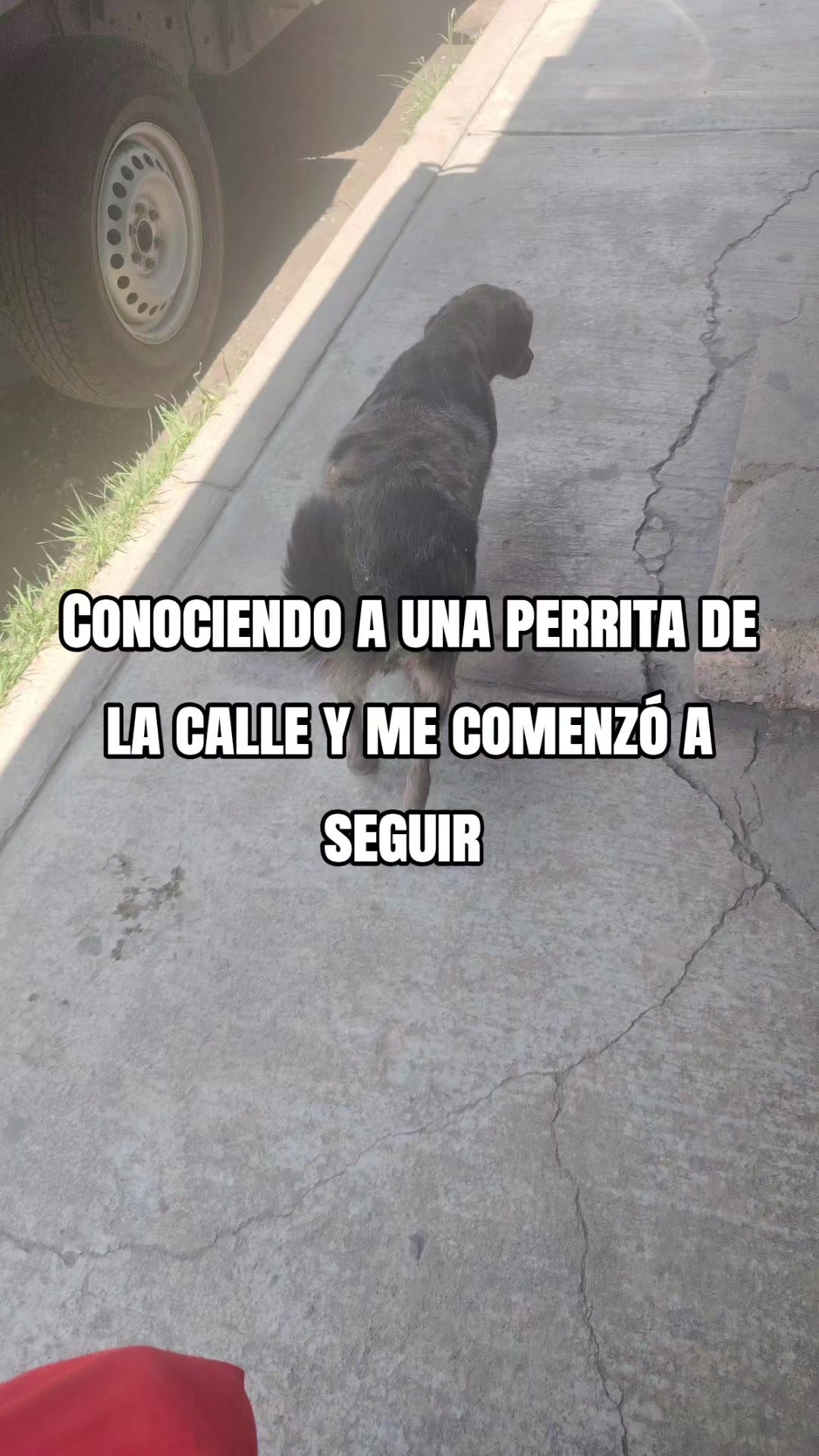 @Carmelita_Gameplay 2