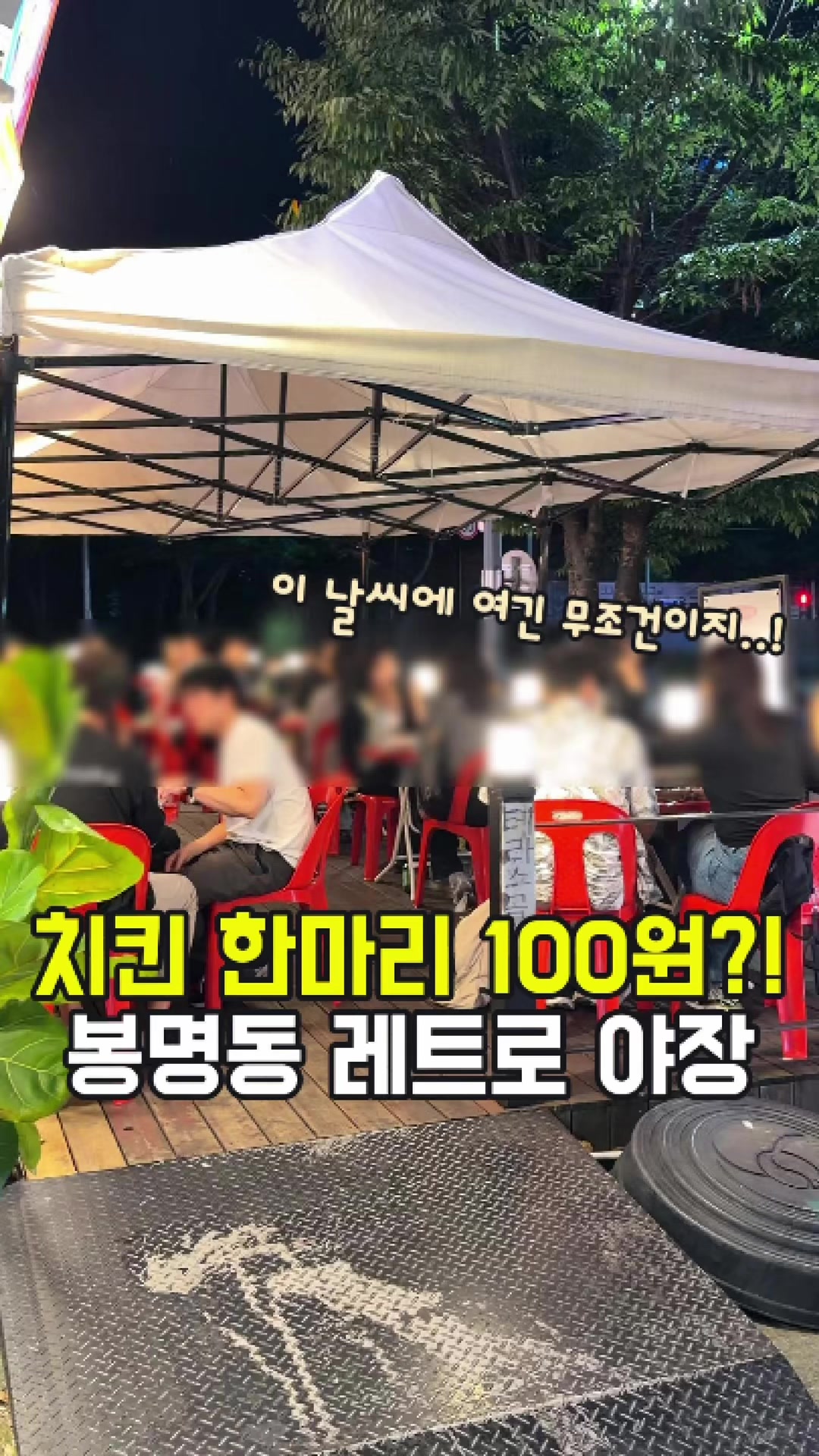 @대전토박이