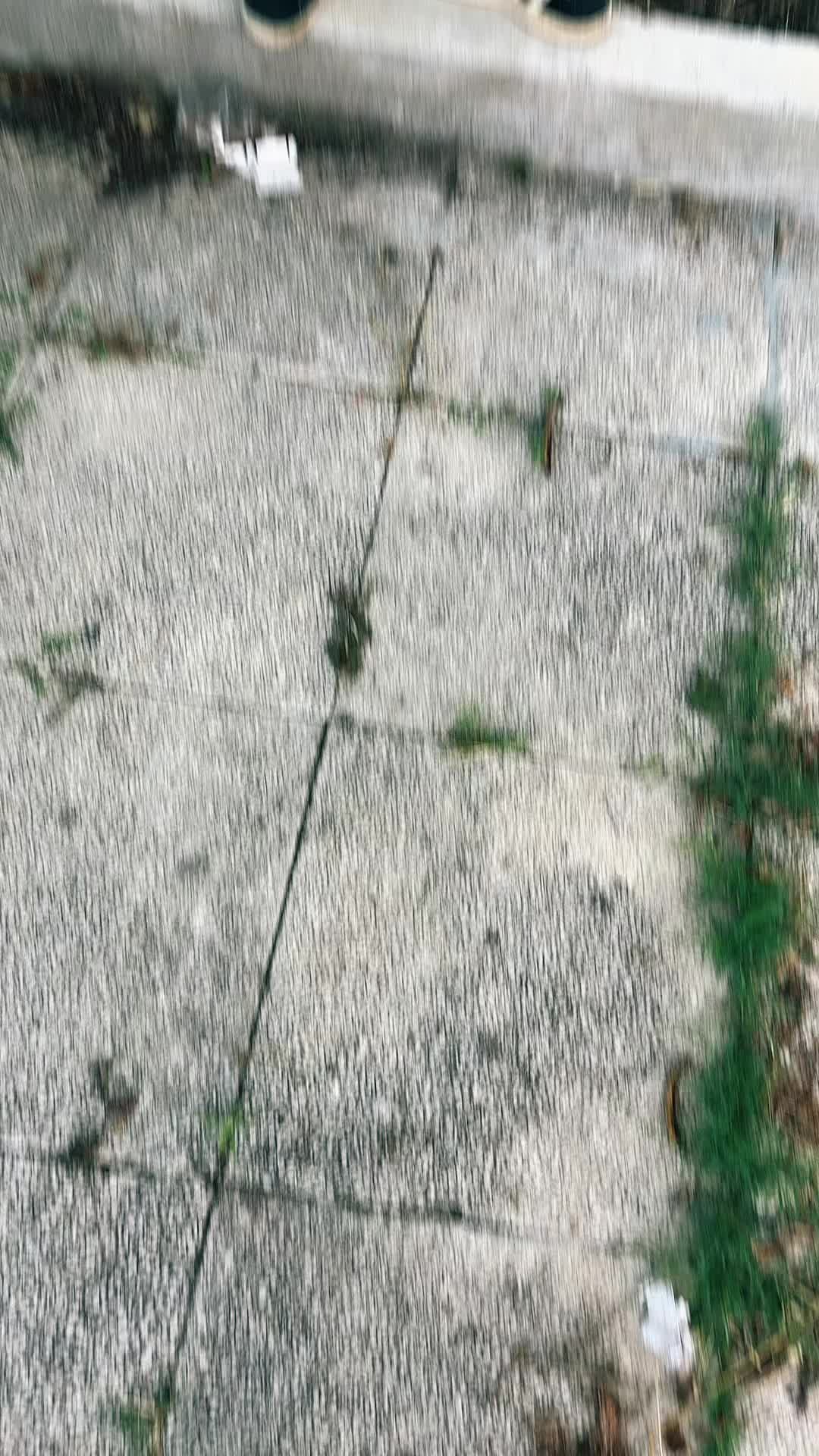 @carmelo_alessi