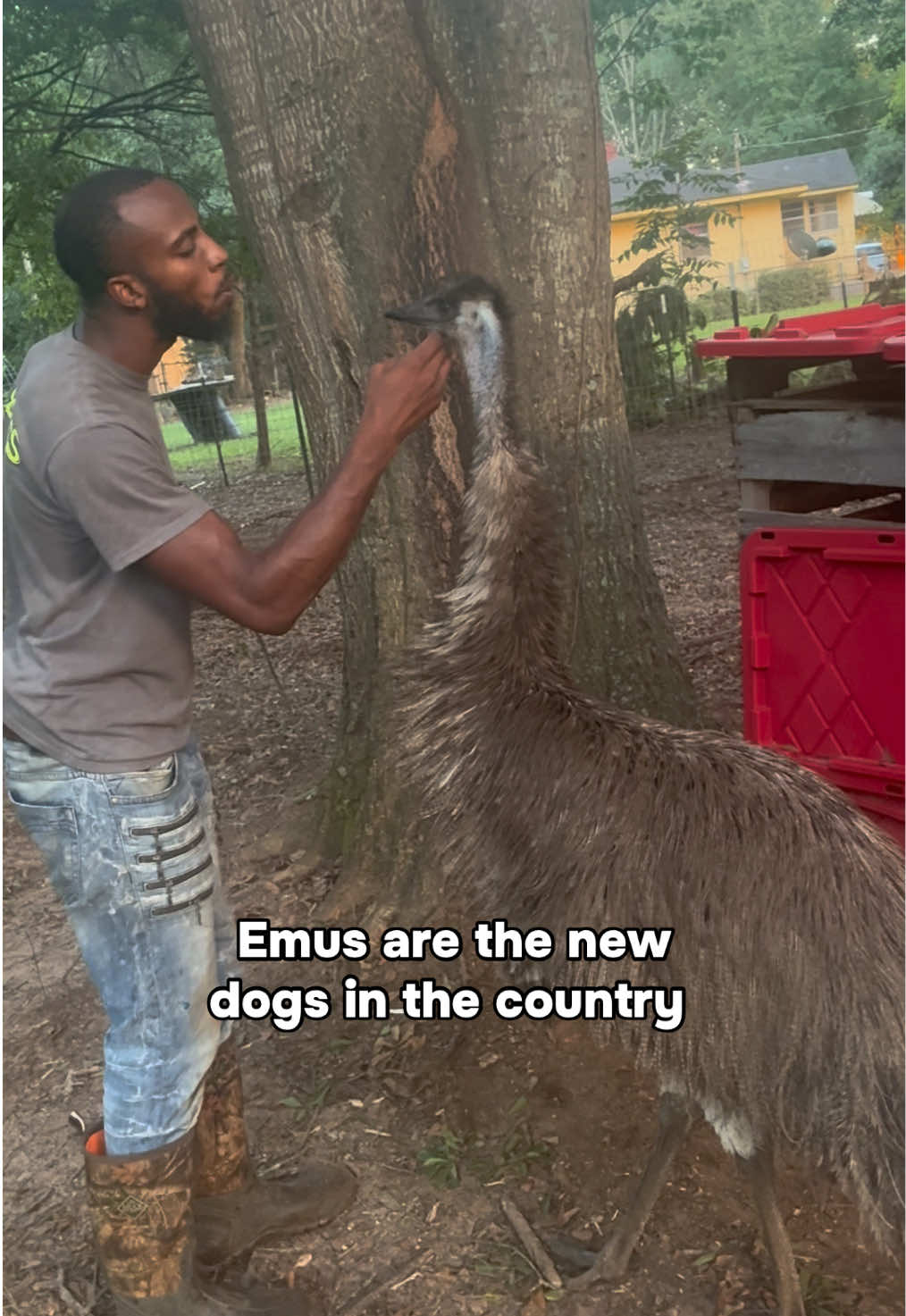 @E M O N