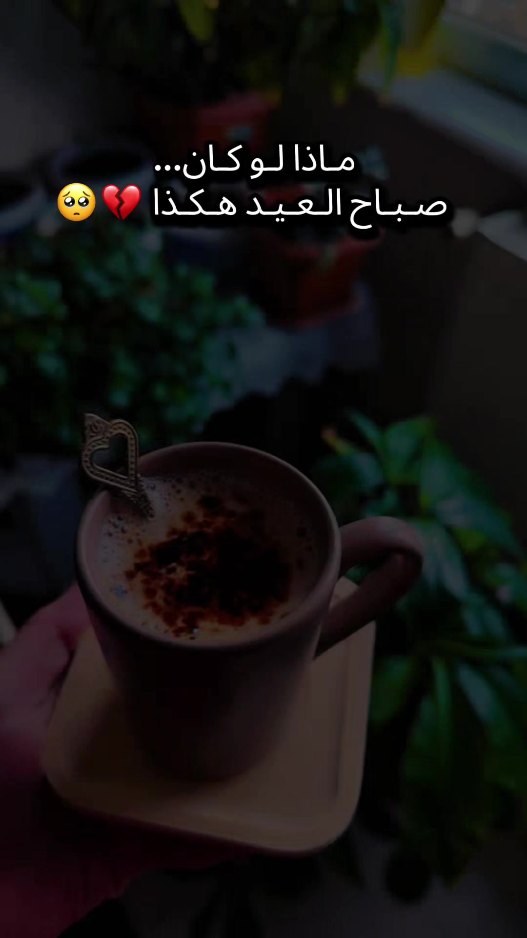 @🦋فراشة ئلبي🦋