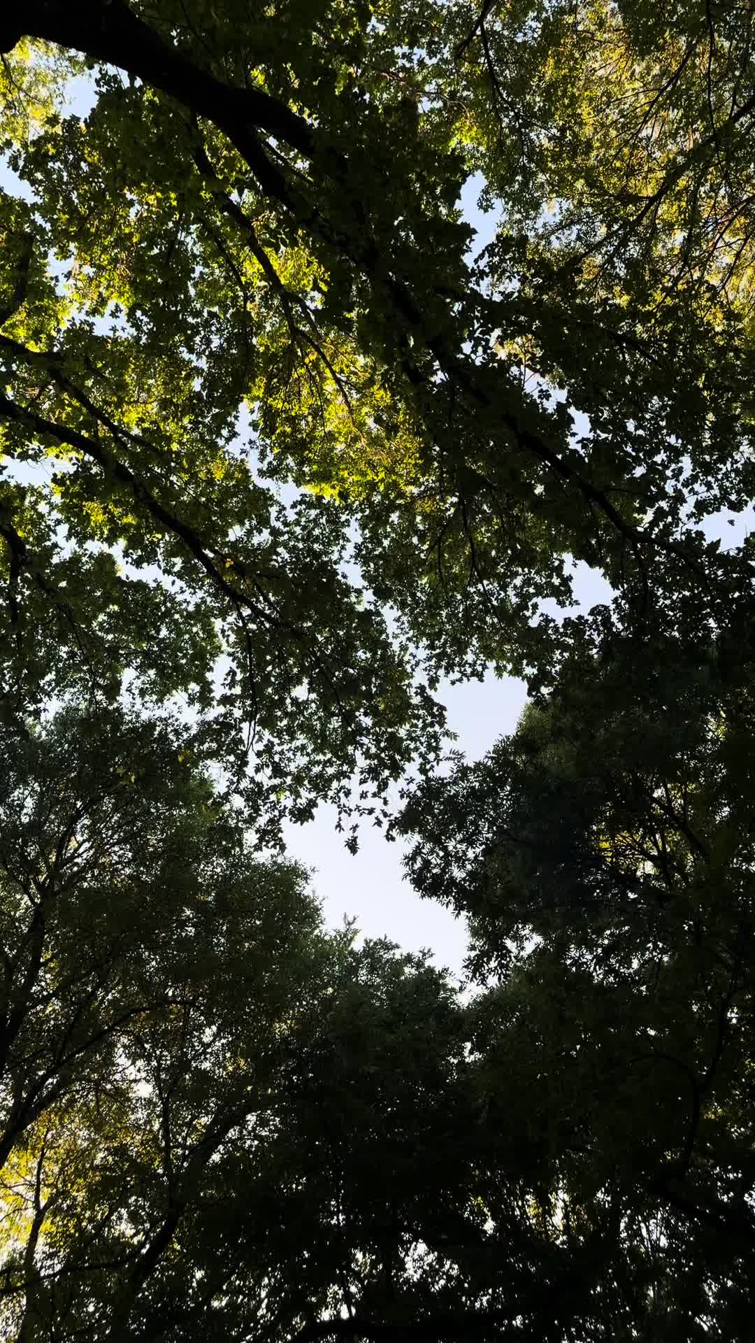 @jadnscars