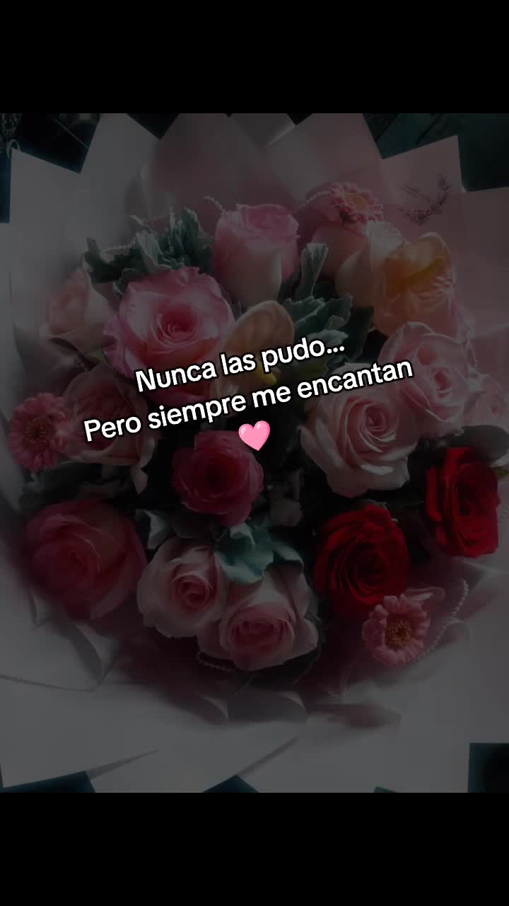 @Lucia Sol