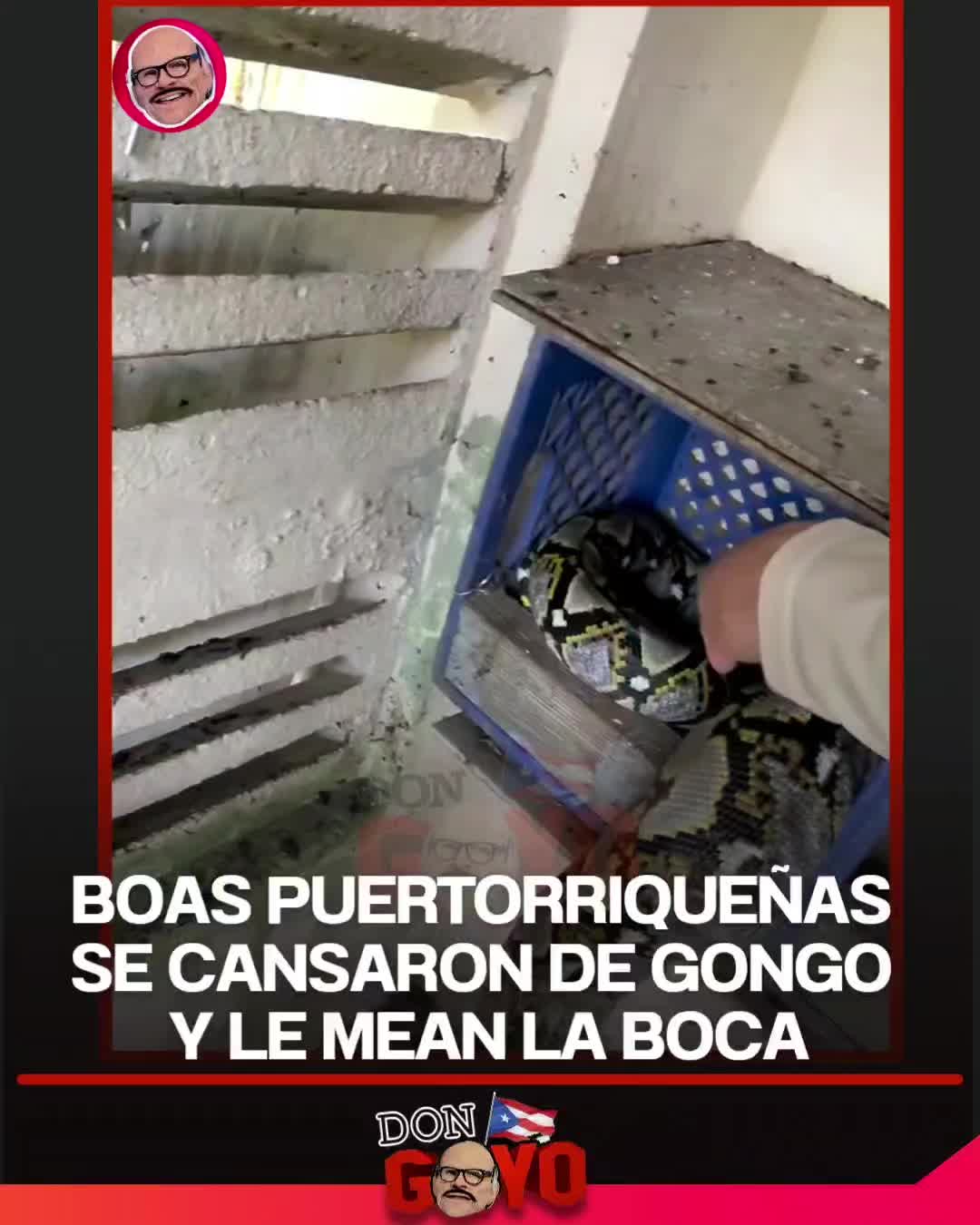 @DonGoyoTV