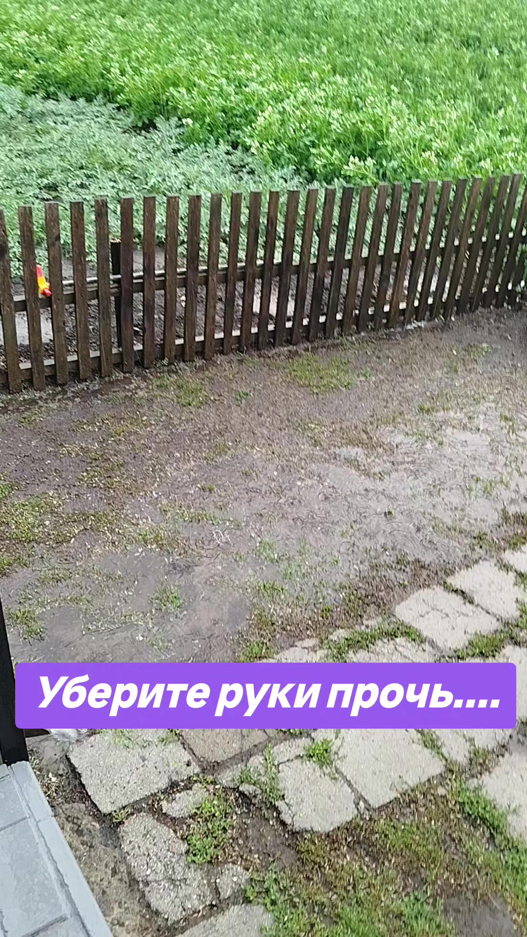 @Галчонок