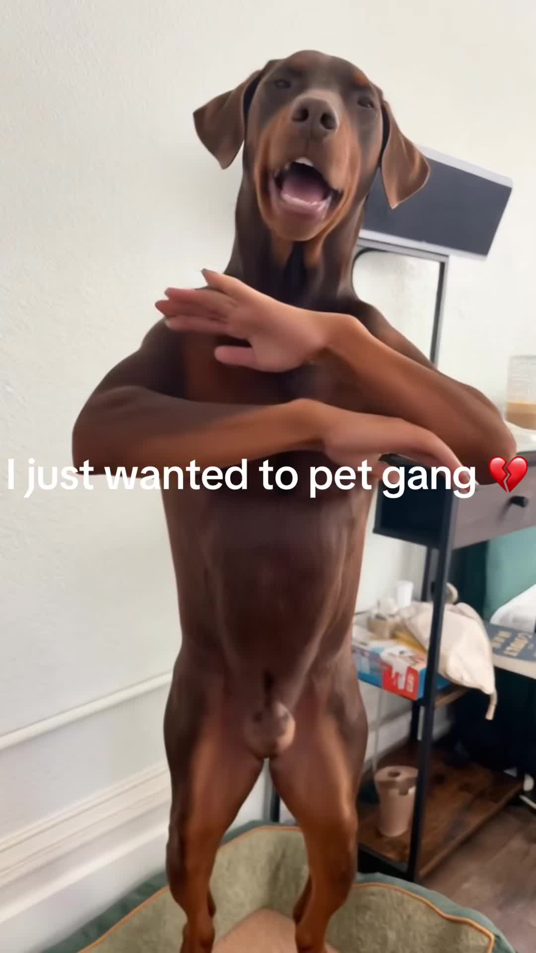 @Natalia Flores