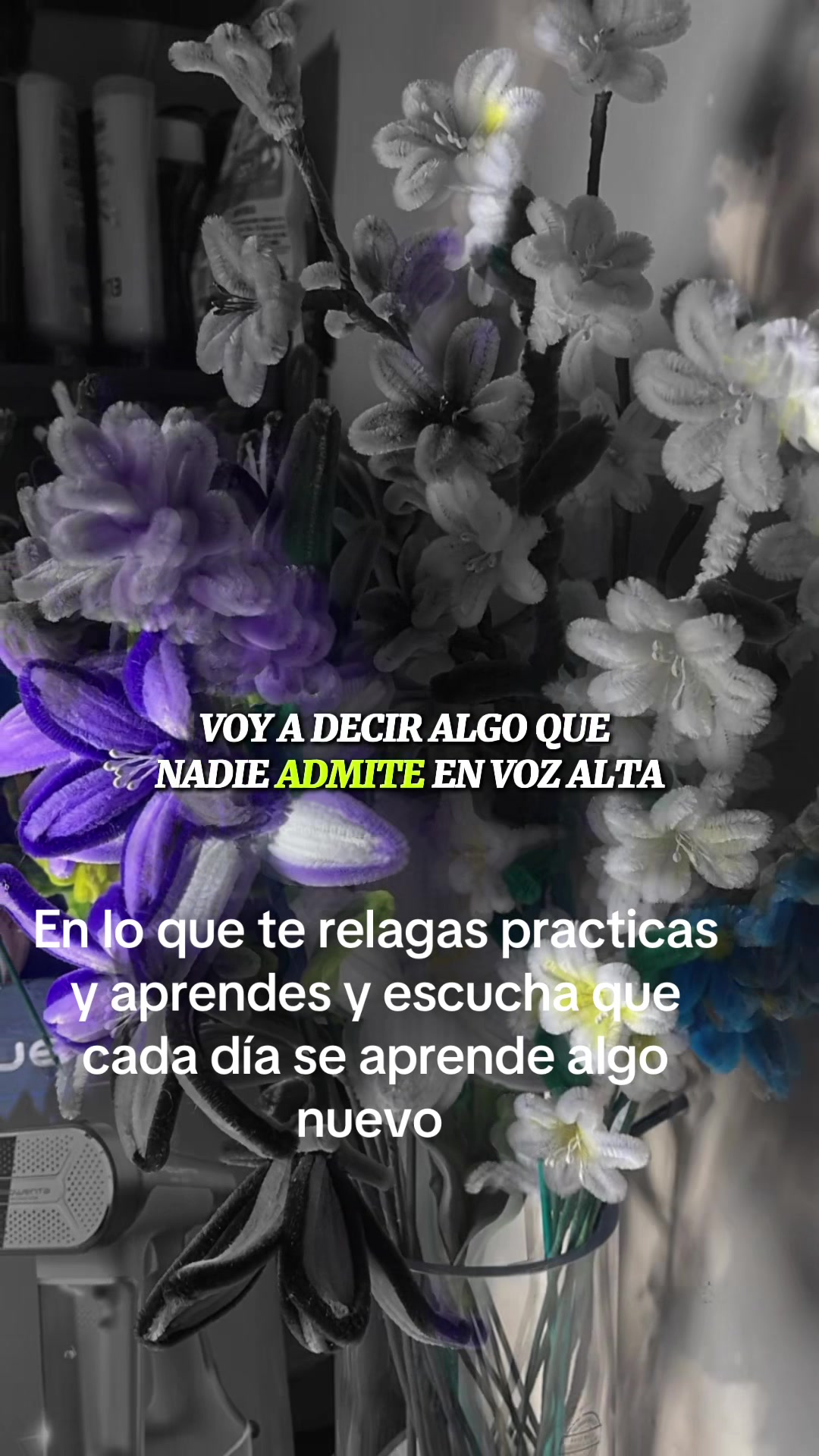 @Kirita17