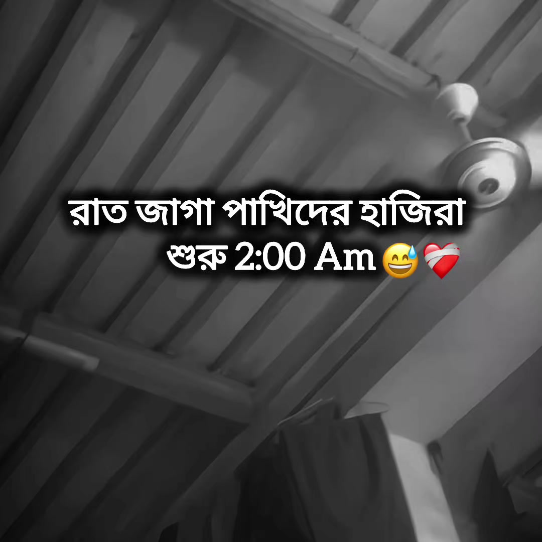 @🌷পিচ্চি–কবি🌷
