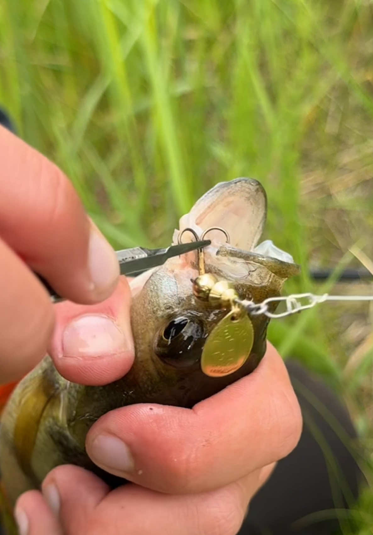 @𝗧𝗚.𝗗𝗬𝗫𝗙𝗜𝗦𝗛🎣
