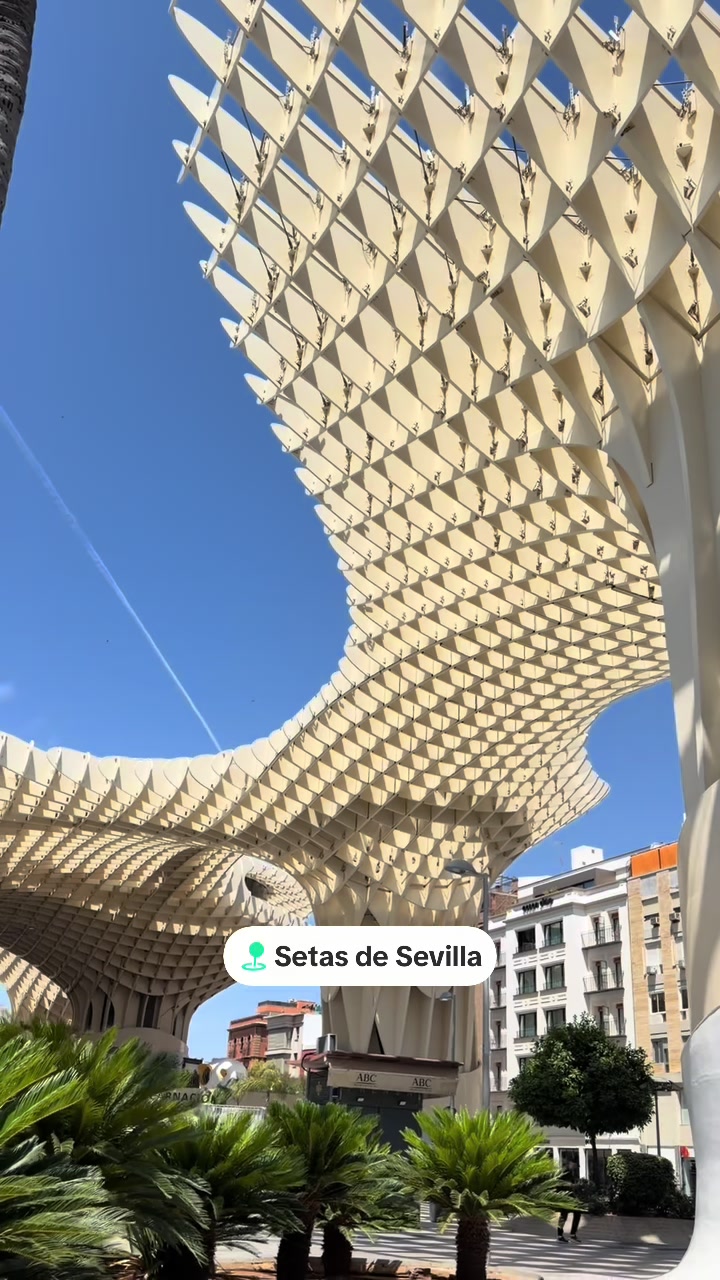 @El Rorras
