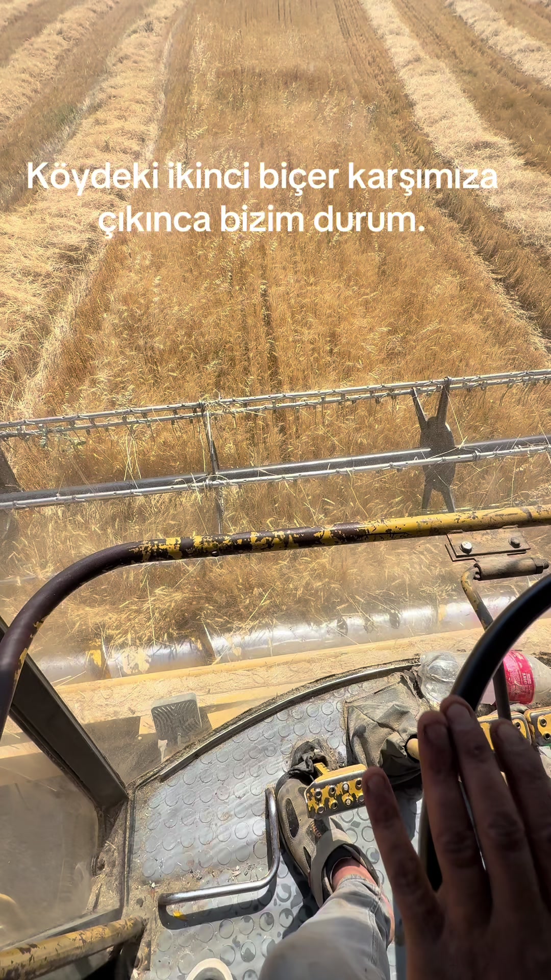 @Caner Esirgen