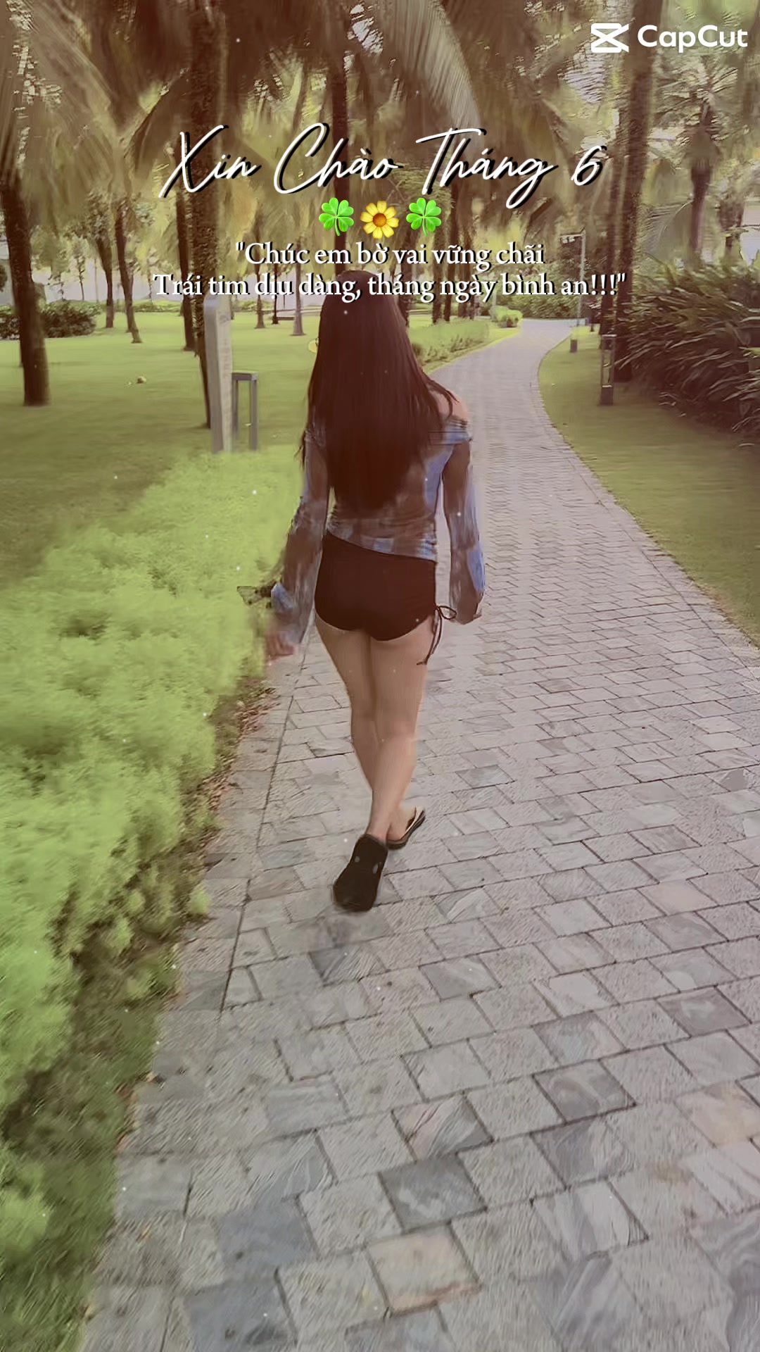 @Angel Lai