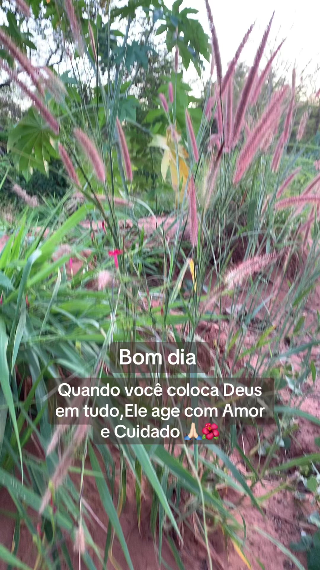 @Entre Laços