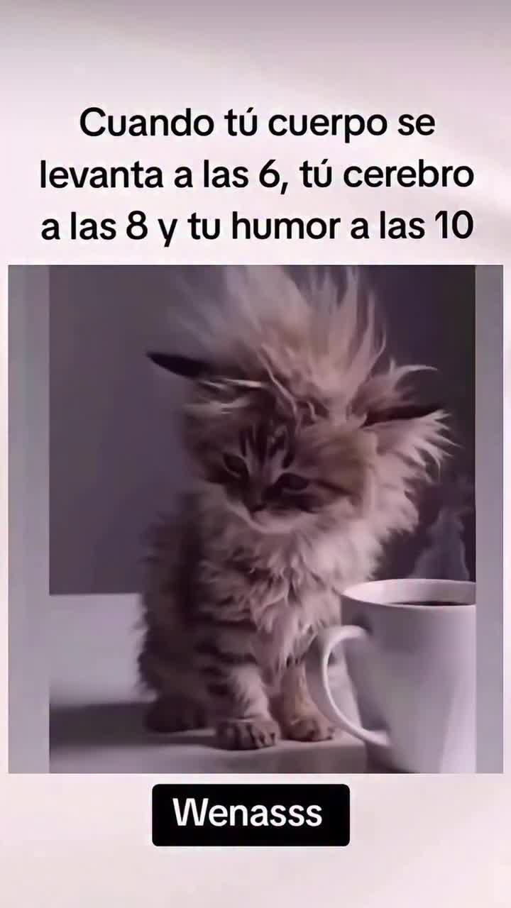 @𝕰𝖑_𝑮𝑼𝑬𝑹𝑹𝑬𝑹𝑶_🇲🇽👑✌