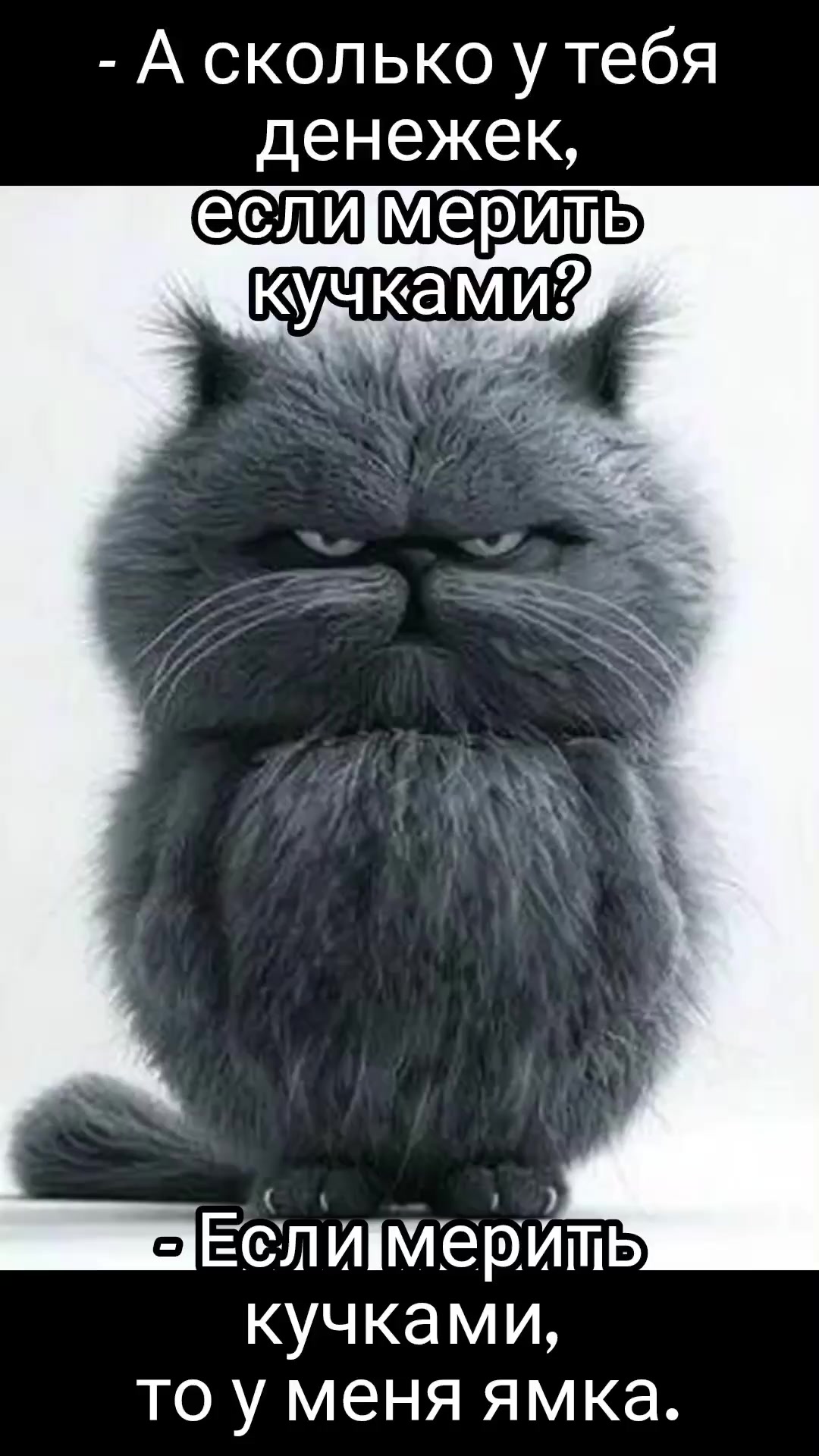 @STEFI88