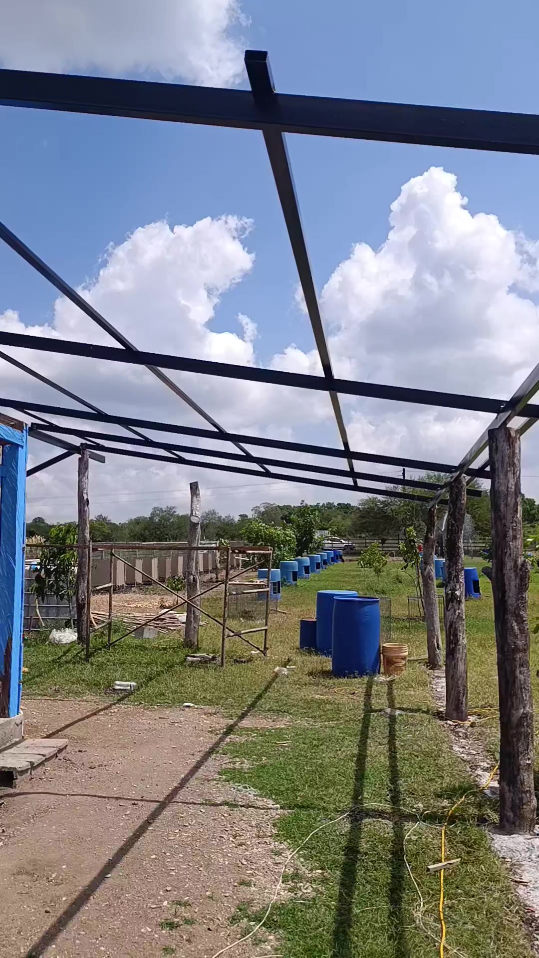 @Toño Moreno
