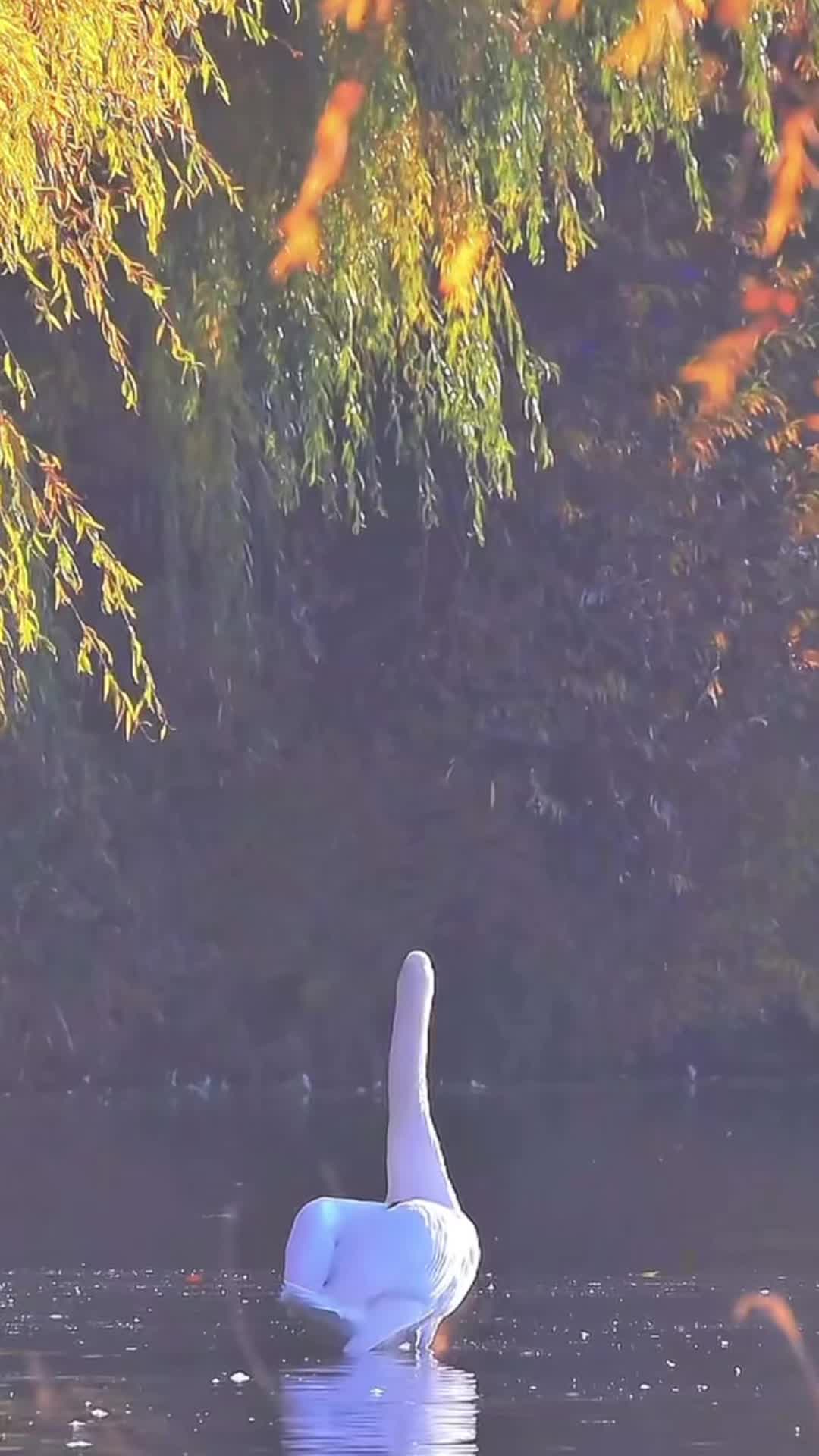 @My Daily Dose of Aww