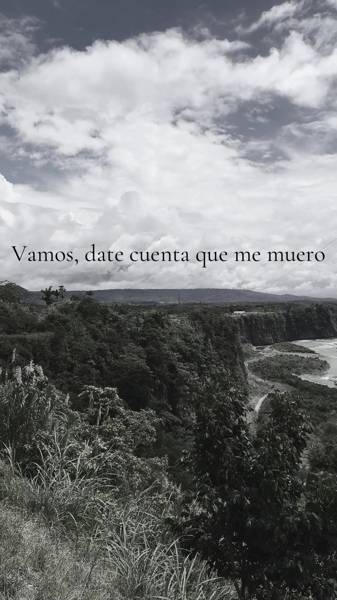 @Música.es.vivir ❤️🩹