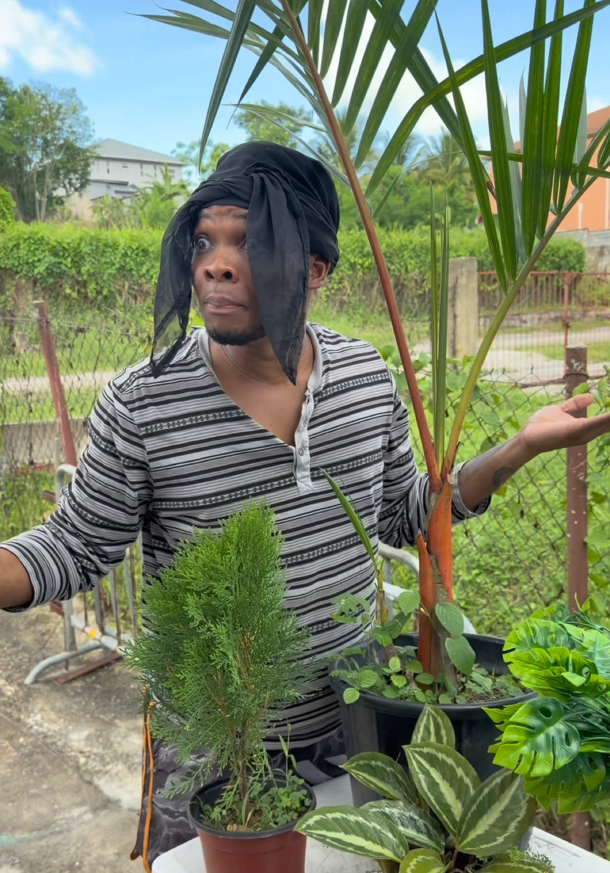 @Certified.sampson