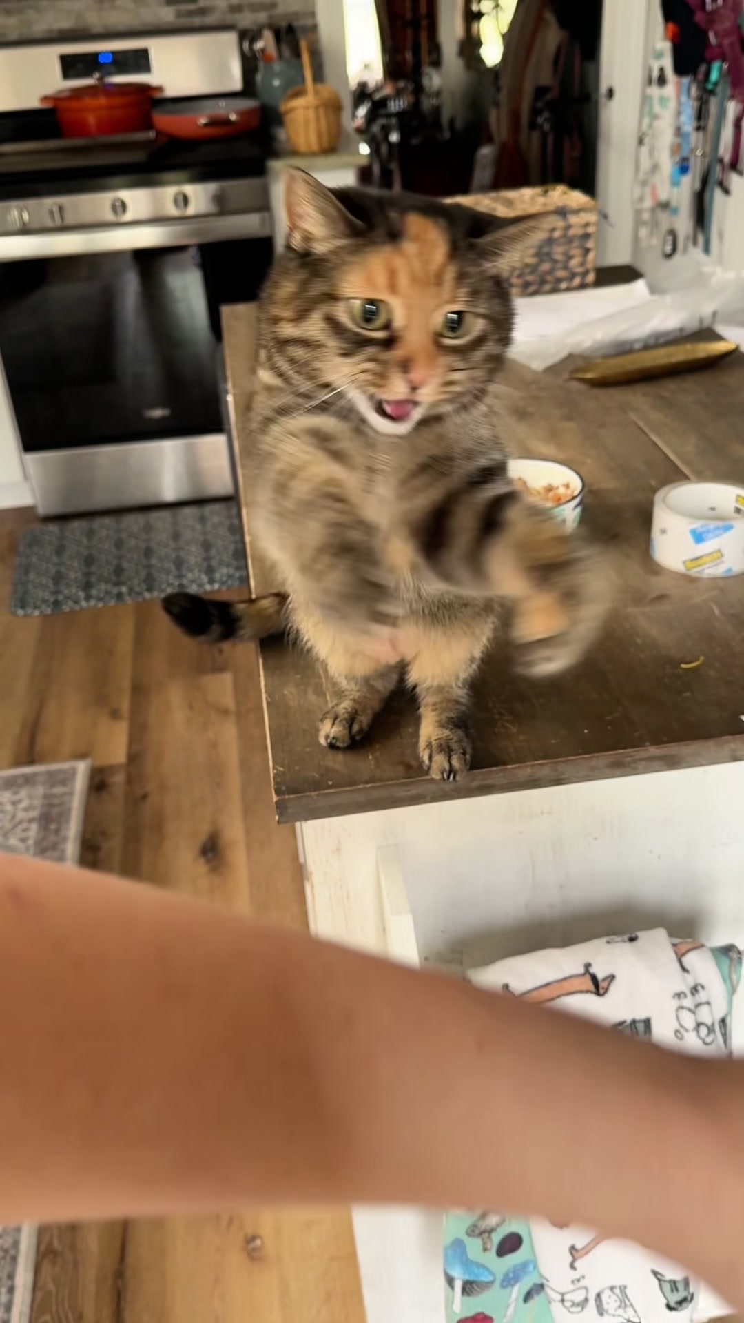 @pawsitive.energy