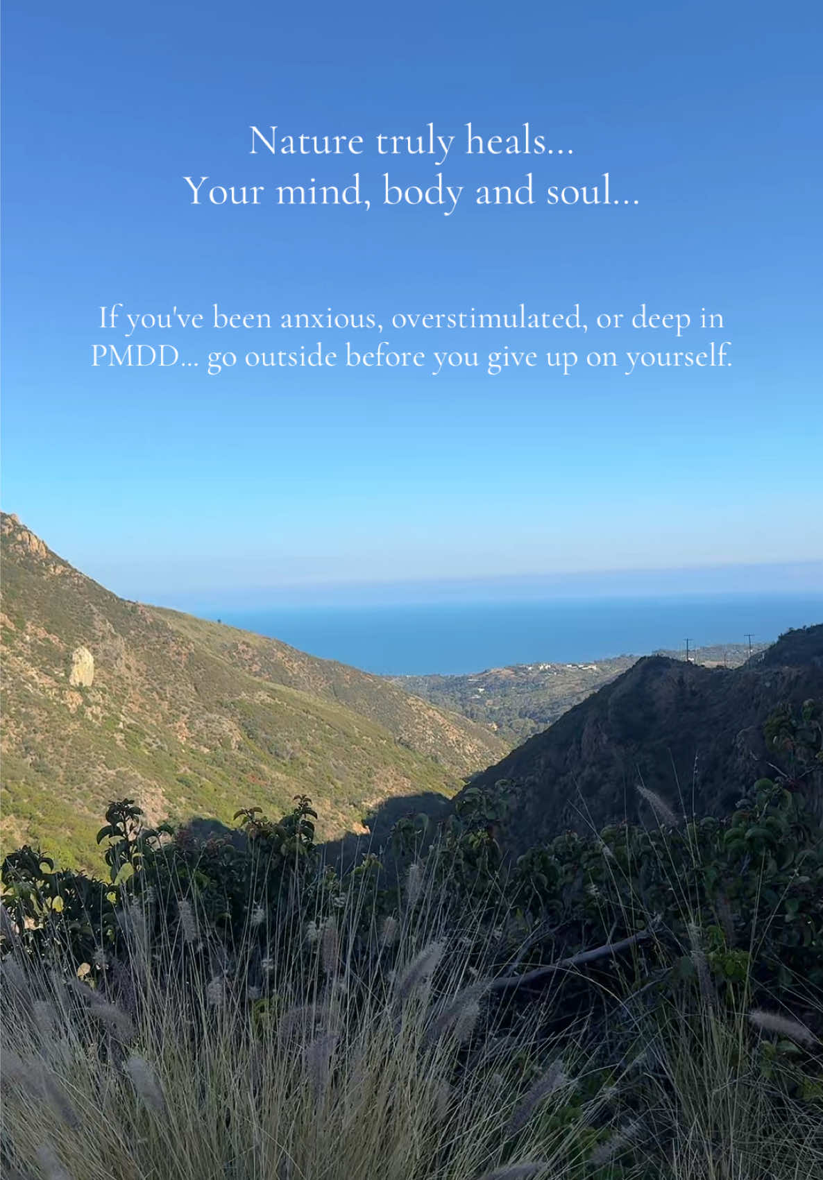 @Sacred Feminine Flow-PMDD HELP