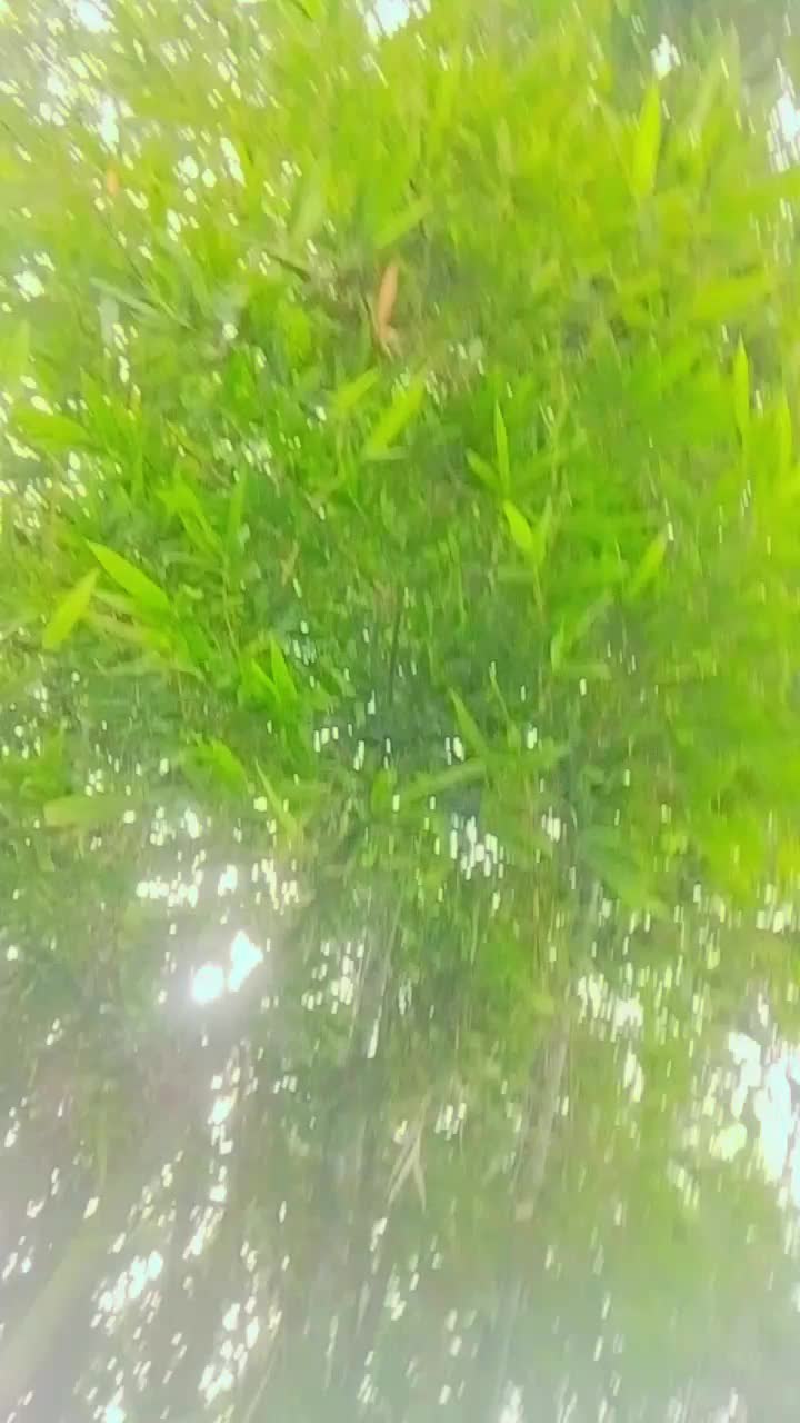 @হিিহহওজজ