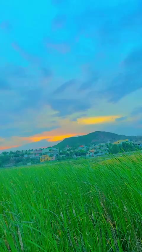 @꧁༺Wajid.Swabiwall༻꧂