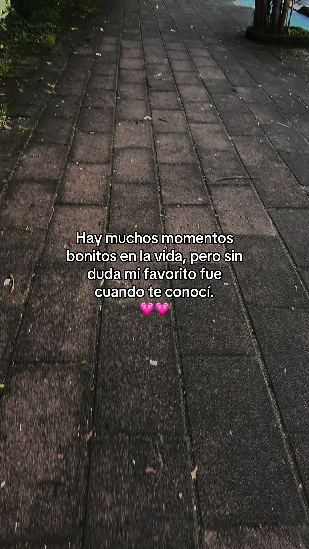 @jovelx.2🧃