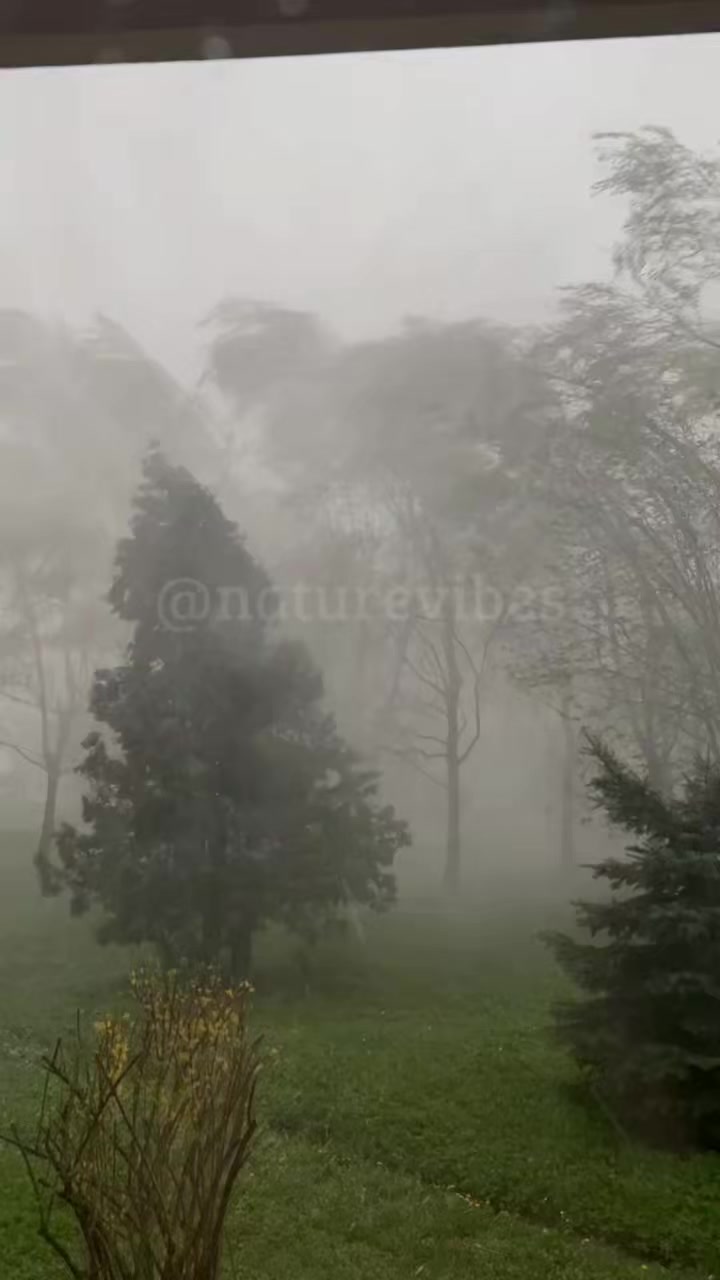 @Nature Vibes