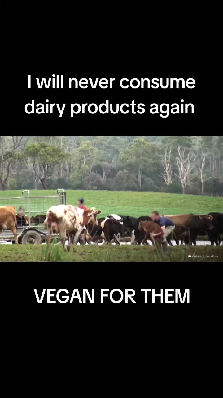 @Khaby Go Vegan