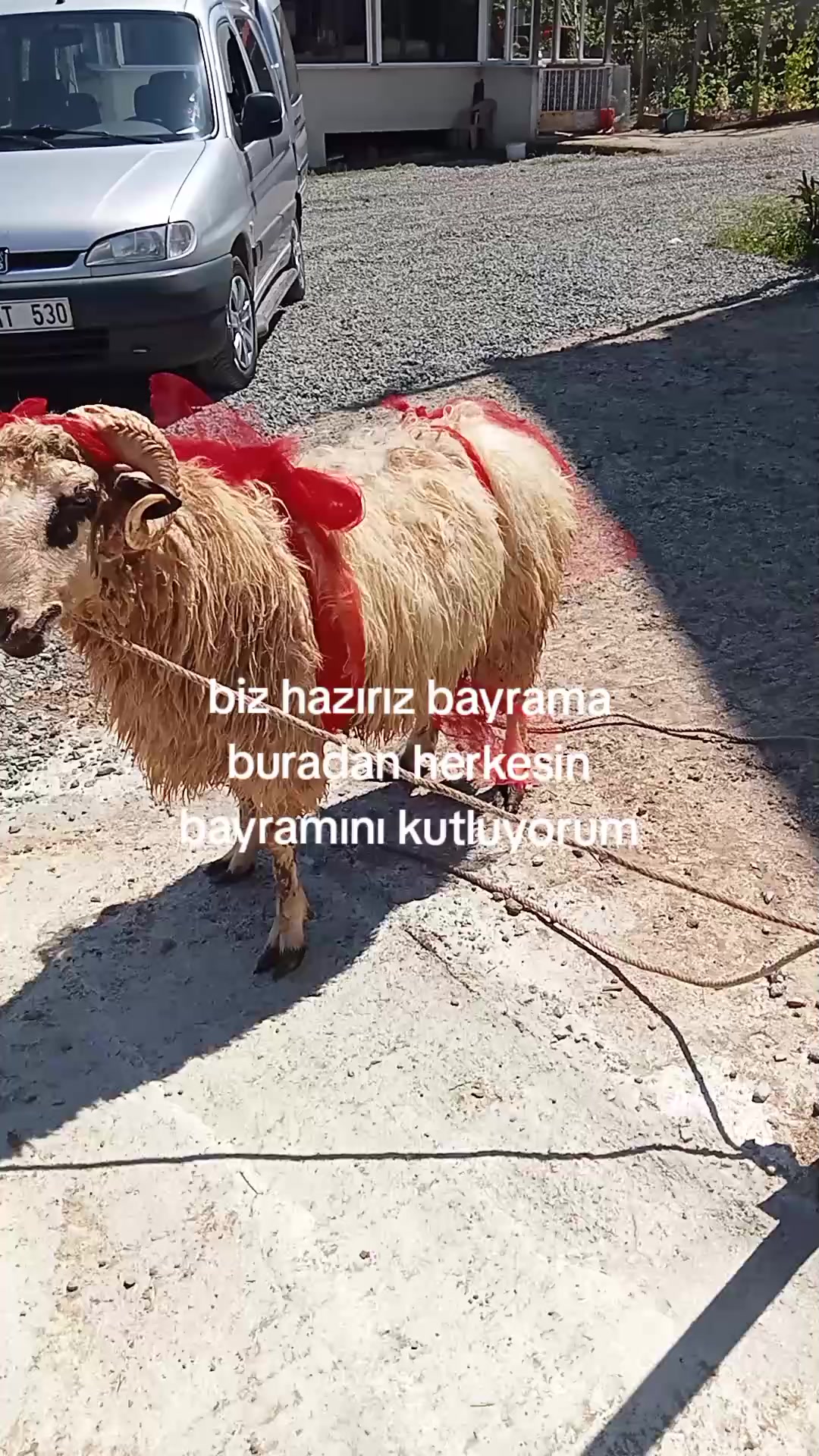 @Nuriye Bicil