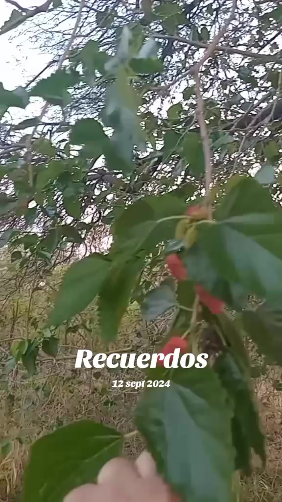 @karina gomez
